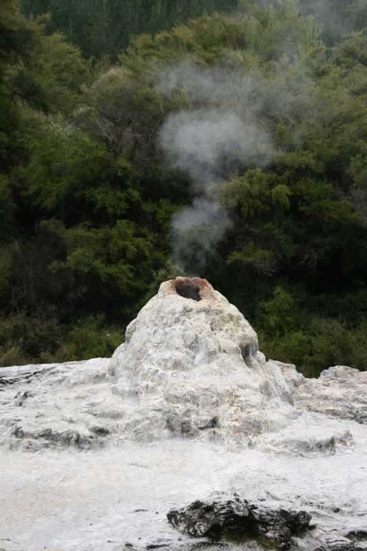 Nieuw-Zeeland 2011 - 0665